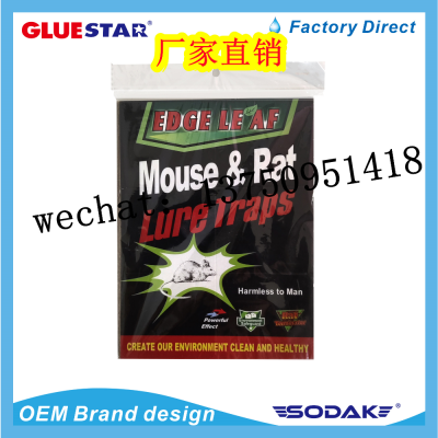 Edge Leaf Glue Mouse Traps Mouse Glue Glue Mouse Traps Mouse Sticker Exult Leaf Mouse Glue