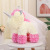 Factory Direct Supply Valentine's Day Gift Birthday Gift Toy Crown Veil Preserved Fresh Flower PE Unicorn