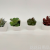 Artificial/Fake Flower Bonsai Mini Succulent Mixed Balcony Bedroom Study And Other Ornaments