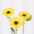 Sunflower Soap Flower SUNFLOWER Bouquet Gift Box Decoration Matching Soap Flower Head Flower Shop Supplies Factory Wholesale