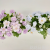 Artificial/Fake Flower Bonsai Fence Small Flower Living Room Dining Room Comfortable Waiting Table Ornaments