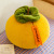 Lucky Persimmon Creative Cushion Pillow Home Decoration Sofa Bed Bay Window Decoration Doll Plush Toys Wholesale