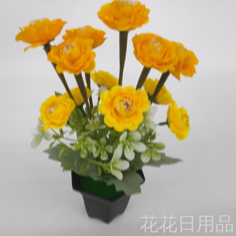 Product Image Gallery