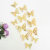 Pet Butterfly Wall Stickers Colorized Butterfly 3D Texture Faux-Metallic Wall 12 PCs Hollow Butterfly Wall Stickers