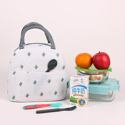 New Thermal Bag Spot Aluminum Foil Portable Lunch Bag Ice Pack Cactus Lunch Box Large in Stock Wholesale