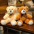 Factory Wholesale Colorful Bear Teddy Bear Doll Plush Toys Seven-Color Bear Children's Wedding Holiday Gift