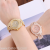 Cross-Border Fashion Diamond-Embedded Geneva Bracelet Watch Large Dial Starry Women's Watch Luxury Quartz Watch