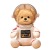 Spot Internet Celebrity Space Bear Plush Toy TikTok Same Astronaut Aviation Series Doll Girls' Holiday Gifts