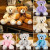 Factory Wholesale Colorful Bear Teddy Bear Doll Plush Toys Seven-Color Bear Children's Wedding Holiday Gift