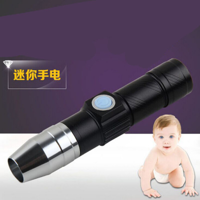 New USB Rechargeable Flashlight Purple Light Fluorescent Agent Detection Pen Zhaoyu 365nm UV Currency Detecting Light Wholesale