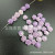 Candy Color Shell Powder Pressure Three-Dimensional Petals 10mm Camellia Horizontal Hole DIY Handmade Bracelet Necklace Accessories Wholesale