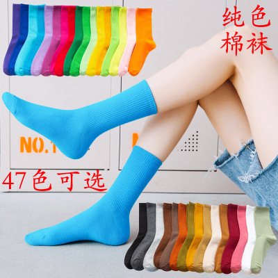 Socks Women's Summer Hot Pure Color Japanese Candy Color Bunching Socks Women's Ins Trendy Color Mid-Calf Length and Knee High Socks Wholesale