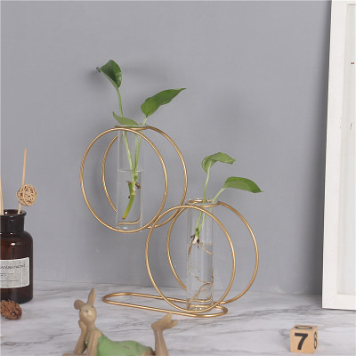 Creative Simple Shaped Vase Wrought Iron Hydroponic Flower Pot Glass Container Living Room Entrance Floral Ornaments Home Decoration