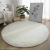 Solid Silk Wool Carpet round Fluffy Floor Mat Living Room Bedroom End Table Bedside Long Wool Carpet Fresh Pet Rug