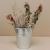 Factory Supply Succulent Plant Small Iron Bucket Wholesale Spot Toy Iron Bucket Wholesale Flower Shop Plant Small Flower Pot