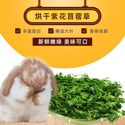 Alfalfa Purple 22 Young Rabbit Feed Rabbit Teething Biscuits Pig Animal Husbandry Staple Food Factory Wholesale AliExpress