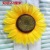 Sunflower Artificial Flower Real Flower Sun Table Performance Group Dance Props Flowers Opening Ceremony of Sports Meet Hand Holding Flower