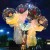 Internet Celebrity Bounce Ball Wholesale Rose Luminous Bouquet Transparent Balloon Valentine 'S Day Gift Push Stall