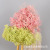 Starry Sky Wholesale Preserved Fresh Flower Starry Sky Dried Flowers Bouquet DIY Flower Chinese Valentine's Day Gift Stall Decoration Gifts