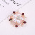 Korean Women's Diamond Brooch Alloy Plating Ladies Decoration Pin Banquet Clothing Accessories in Stock Wholesale