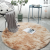 Long Wool Circle Tie-Dyed Gradient Living Room Carpet Long Ville Bedroom Rug Bayeta Full of Silk Wool Floor Mat