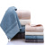 Pure Cotton Plain Hotel Towel Soft and Thickened Adult Home Use Absorbent Face Towel Foreign Trade Daily Gifts