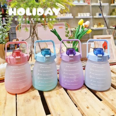 Cup With Straw Internet Celebrity Frosted Big Belly Cup Cross-Border Amazon Portable Shoulder Strap Color Spray Frosted Big Belly Straw Cup
