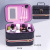 Cosmetic Bag Skin Care Products Storage Box Large Capacity Portable Models Internet Celebrity Ins Korean Simple Wholesale TikTok Same Style Box