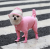Pet Cat Dog Four-Legged One-Piece Waterproof Raincoat for Foreign Trade