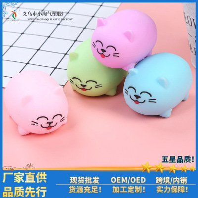 New Creative Pressure Relief Children's Toy Fat Cat PVA Plastic TPR Material Best-Seller on Douyin Europe and America Cross Border Hot Sale