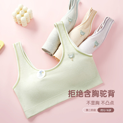 High School Student Underwear Female Junior High School Student Youth Development Girl Bra Pure Cotton Thin Big Breast Breast Contracting Bra