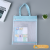 Mesh Texture Hand-Carrying Document Notes Test Paper Storage Bag Portable Compact Tutorial Information Bag Factory Direct Sales