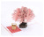 3D Cherry Tree Basket Stereoscopic Greeting Cards Romantic Cherry Blossoms Wedding Blessing Card Mother's Day