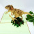 Children's Day Greeting Card Dinosaur Stereoscopic Greeting Cards Creative Handmade Blessing Gift Stereoscopic Card Wholesale