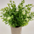 Artificial/Fake Flower Bonsai Green Plant Small Flower Dining Room/Living Room Bedroom and Other Ornaments