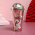 Landscape Plastic Cup with Straw Creative Glitter Summer Ice Glass Student Couple Christmas Gift Cup in Stock Wholesale