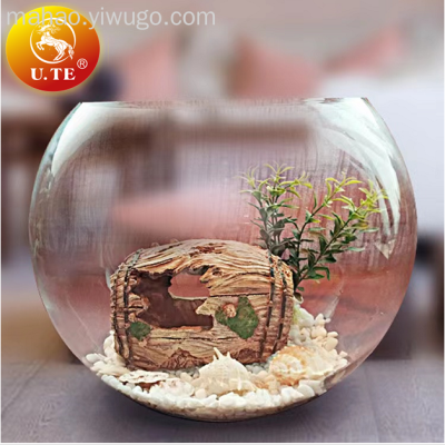 Transparent Glass Small Fish Tank