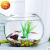 Transparent Glass Small Fish Tank
