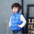 Children's Clothing Children's down and Wadded Jacket Vest Boys and Girls Warm Waistcoat Foreign Trade Stall Supply