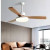 Zhongshan Factory Ceiling Fan Lights Home Living Room Dining Room Bedroom with Fan-Style Ceiling Lamp Integrated Frequency Conversion Commercial Electric Fan Lamp