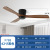 Solid Wood Fan Lamp Lamp in the Living Room Simple Nordic Restaurant Household Electric Fan Lamp Cross-Border Intelligent Remote Control Ceiling Ceiling Fan Lights