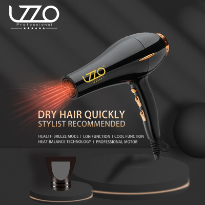 Lzzo International Salon Max Airflow Rate Hair Salon Home Quick-Drying Dedicated 5000W High-Power Hair Dryer