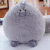 Simulation Long Tail Persian Cat Rich Cute Fat Cat Doll Plush Toys Foreign Trade Pillow New Seat