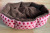 Pet Bed Dot Octagonal Polka Dot Spring and Summer Available Dog Mat Plush Soft Durable Cat Nest Mat Pet Bed