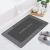 Diatom Ooze Soft Mat Absorbent Bathroom Light Luxury Floor Mat Bathroom Entrance Carpet Bathroom Toilet Non-Slip Floor Mat Carpet