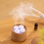 Internet Hot New USB Steaming Day Aroma Diffuser Household Hotel Ultrasonic Essential Oil Aroma Diffuser for Wholesalers