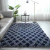 Soft Indoor Silk Wool Carpet Fluffy Living Room Doormat Children Bedroom Rug Baby Carpet Floor Mat Door Mat