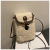 This Year's Popular Plush Cell Phone Bag Women's Autumn and Winter New Furry Crossbody Bag Coin Purse All-Matching Vertical Small Square Bag