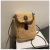 This Year's Popular Plush Cell Phone Bag Women's Autumn and Winter New Furry Crossbody Bag Coin Purse All-Matching Vertical Small Square Bag