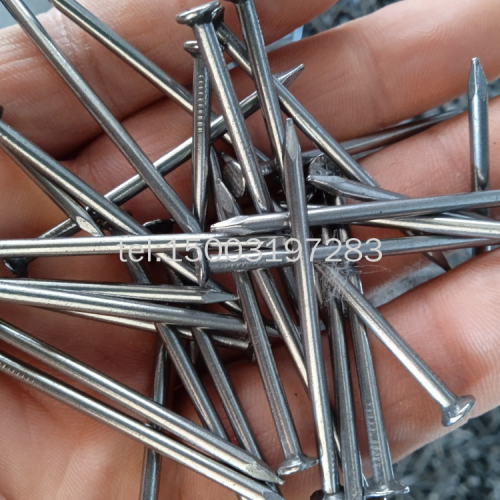 Ordinary Wire Nail Iron Nails RMB Steel Nail Common Nail